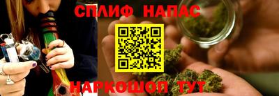 шишки Канаш